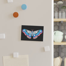 Load image into Gallery viewer, Trans Pride Moth 2 x 3&quot; magnet
