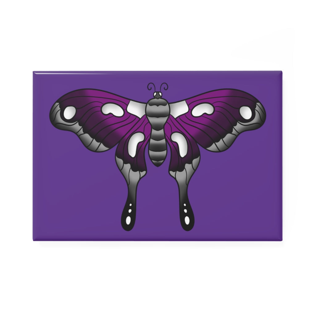 asexual pride butterfly 2  x 3